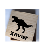 kado dino uniek persoonlijk kinderen