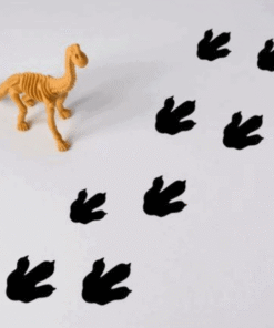 Muursticker dino poot afdruk