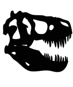 muursicker dinosaurus skelet skull